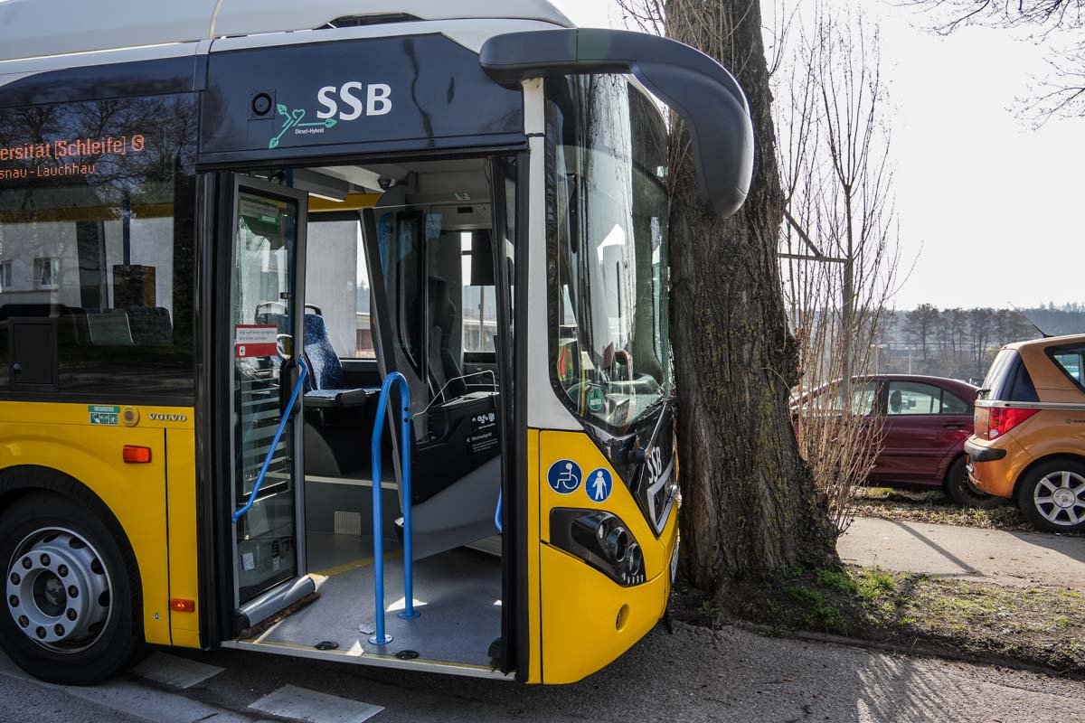 Sindelfingen: Linienbus prallt gegen Baum