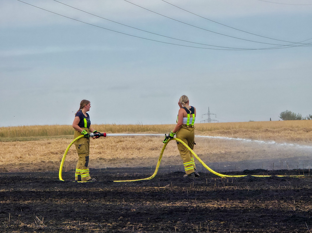 Sindelfingen: Feldbrand fordert erneut die Feuerwehr am Montag